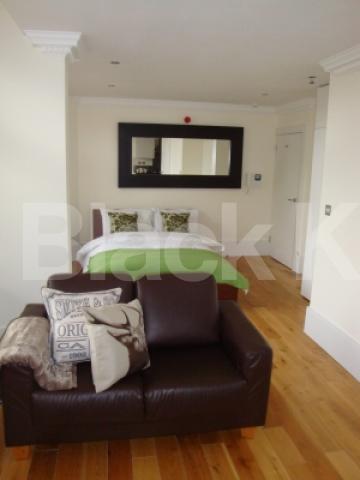 			NEW INSTRUCTION!, Studio Apartment, 1 bath, 1 reception Flat			 Fitzjohns Avenue, SWISS COTTAGE